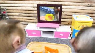 Monkey Baby Bim Bim Drives To The Pool And Opens Surprise Eggs With Puppy in the garden