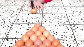 Snokker playing with Eggs