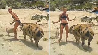 TRY NOT TO LAUGH WATCHING FUNNY FAILS & PRANK VIDEOS