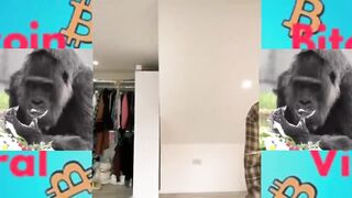 tiktok challenge really big ???? compilation