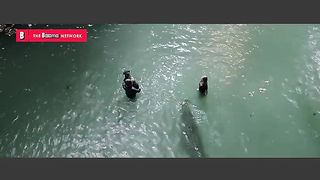 A young woman attempting to save her father during