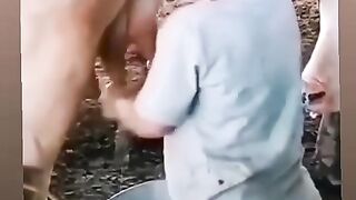 Funny videos