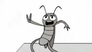 Funny video ????