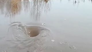 قیامت کی ایک اور نشانی Another sign of the apocalypse