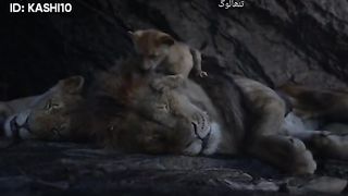 The lion King # mowgli cartoon part 3 animated cartoon new 2023