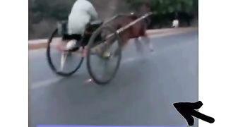 Funny video