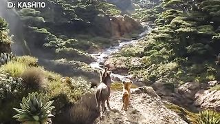 New cartoon # The lion king part 13 with mowgli cartoon 2023