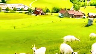 Switzerland natural beauty/Europe beauty#Switzerland#Europe