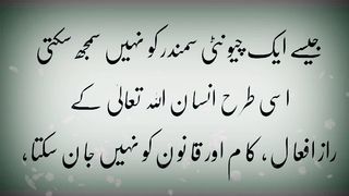 جیسے ایک چیونٹی سمندر کو نہیں سمجھ سکتی اسی طرح انسان اللہ تعالیٰ کے