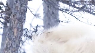 Bear Playing with Baby