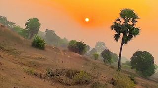 Morning Vives Video|