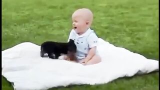 Adorable pets and babies are truly friendship- Funny Video Compilation