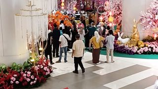 Chinese new year lion dance