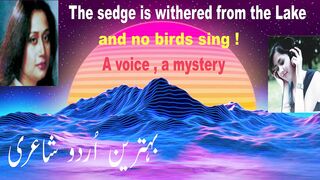 Urdu poetry