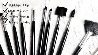 Custom Logo Oem 12pcs Fashion Personal Makeup Product Elegant Plastic Facial Single Makeup Brush Set