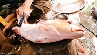 Big Gaint Fish Cutting Skills