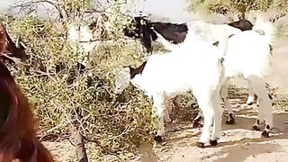 Beautiful Balochistan#