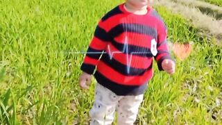 funny viral video
