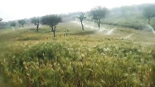 Khet ke nazare