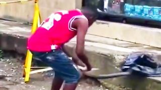 Funny video