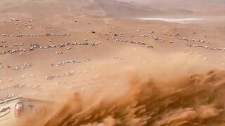 Best Arabic Funny Video ????. Car Race Funny clips
