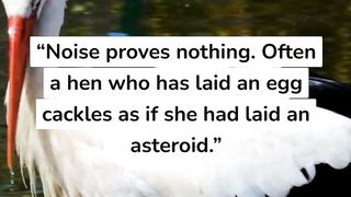 5 mark twain quotes #7 #short.