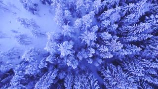 Amazing Snowfall Winter Footage