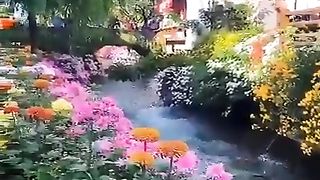 Recite 95