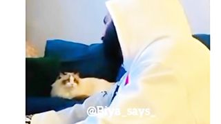 Song in Cat version????