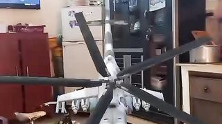 Helicopter Shorts