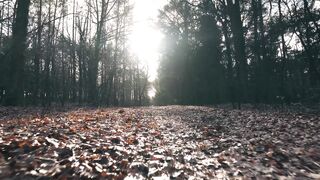 LIVE   FLYING OVER GERMANY (4K Video UHD) - Peaceful Music With Beautiful Nature Video For Relaxation On TV