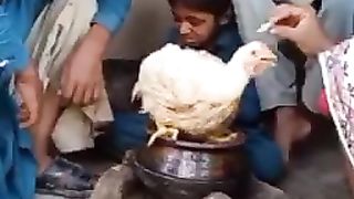 Funny video ????????????