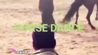 Funny horse dance