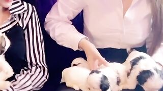 Cute puppy cute baby puppy ???? 2023 #cute#baby#puppy#2023