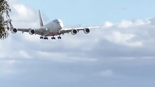 Emirates airline