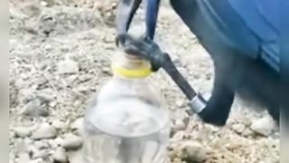 Kawa drink water
