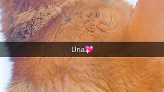 UNA || Dogs Cats Love || WhatsApp Status || ITLEARNS