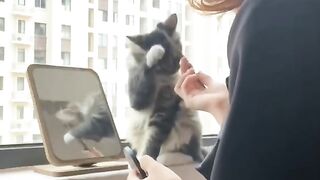 Cat lovers