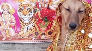 Bhakti song