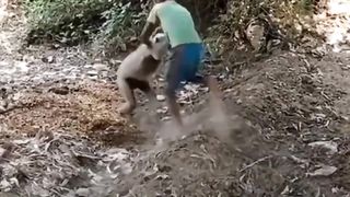 Monkey and boy fighting ????????????????