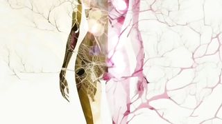 The light body experience