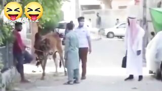 Best comedy video ????????????