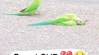 #अपना कोन पराया कोन