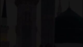 WhatsApp status videos newb2023