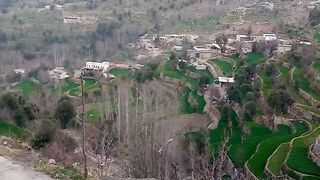Nice video