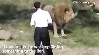 Lion attack on man