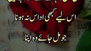 Best shayari video