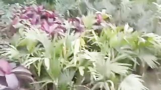 Mera eik YouTube ka chenal he uska name( village nature awais khan )plz us ko b watch kren r subscribe kren