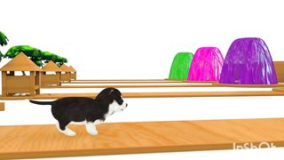 Baby carton for animals name and color name