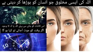 Time The Strange Creature of ALLAH
